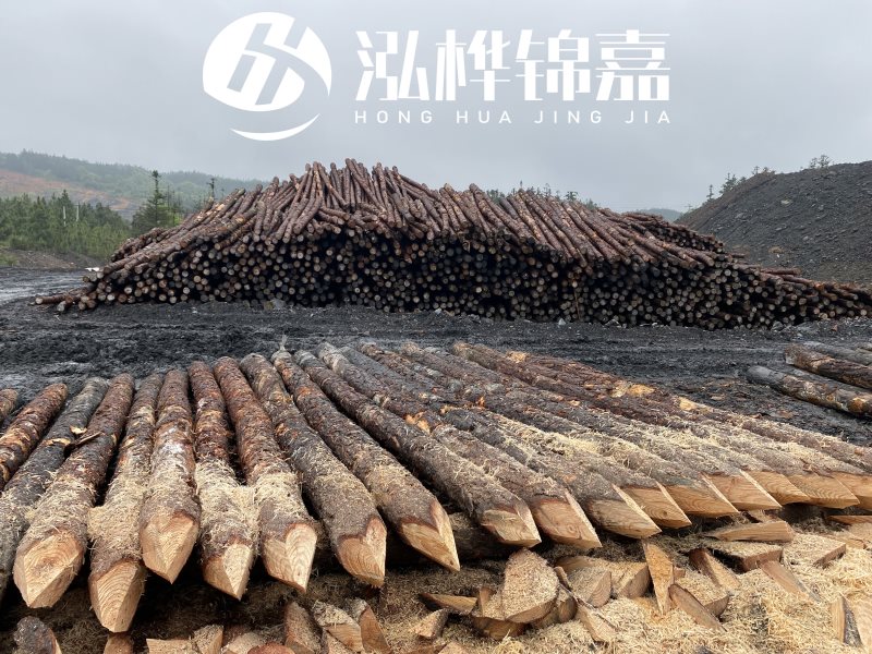 6米長松木樁有哪些作用,多少錢一根?