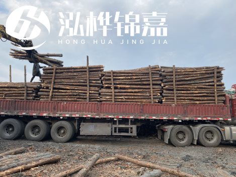 打樁木材為何首選松木?松木樁應(yīng)該怎么打樁施工