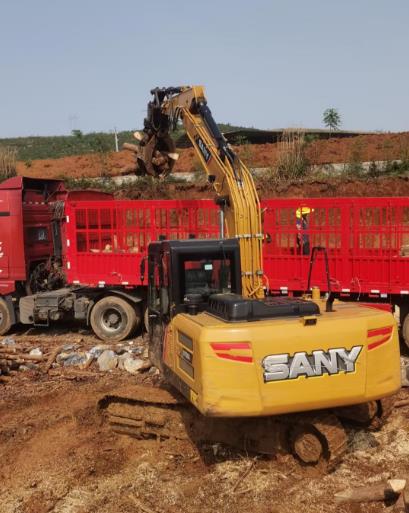 <a href=http://m.qytxwb.cn/ target=_blank class=infotextkey>松木樁</a>原木