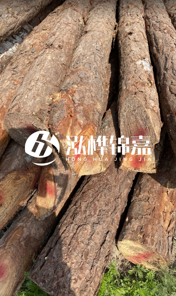 <strong>松木樁和杉木樁的用途區(qū)別？哪個(gè)更適合打樁用？</strong>