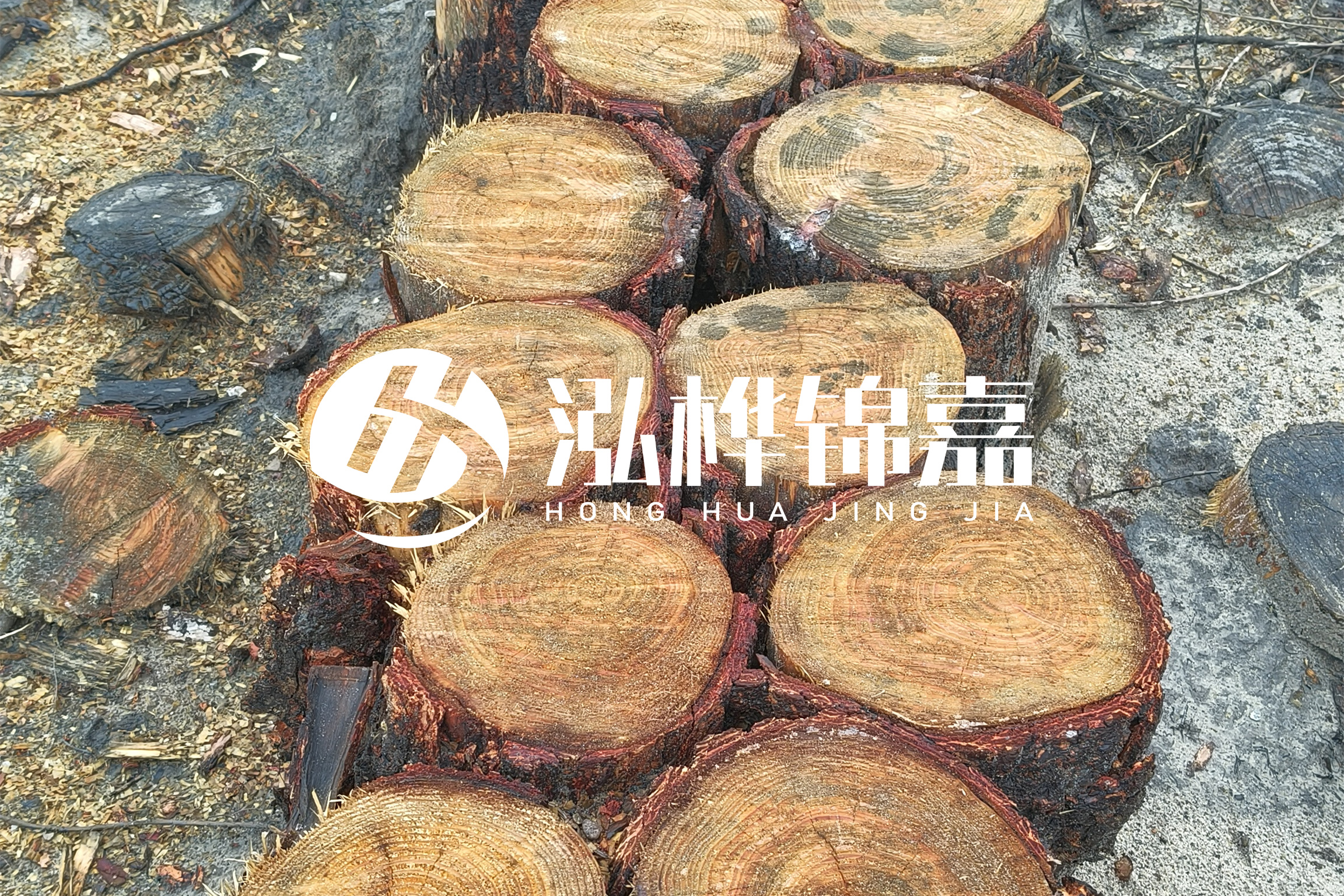 浙江臺(tái)州有清淤的公司嗎？浙江臺(tái)州有清淤施工隊(duì)嗎？