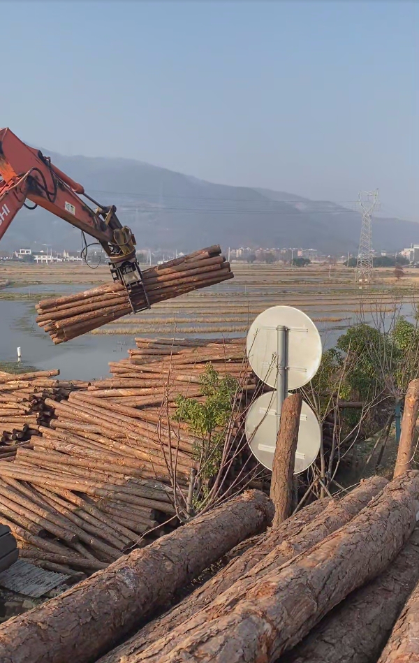 深圳松木樁施工專家-平原松木樁施工優勢?
