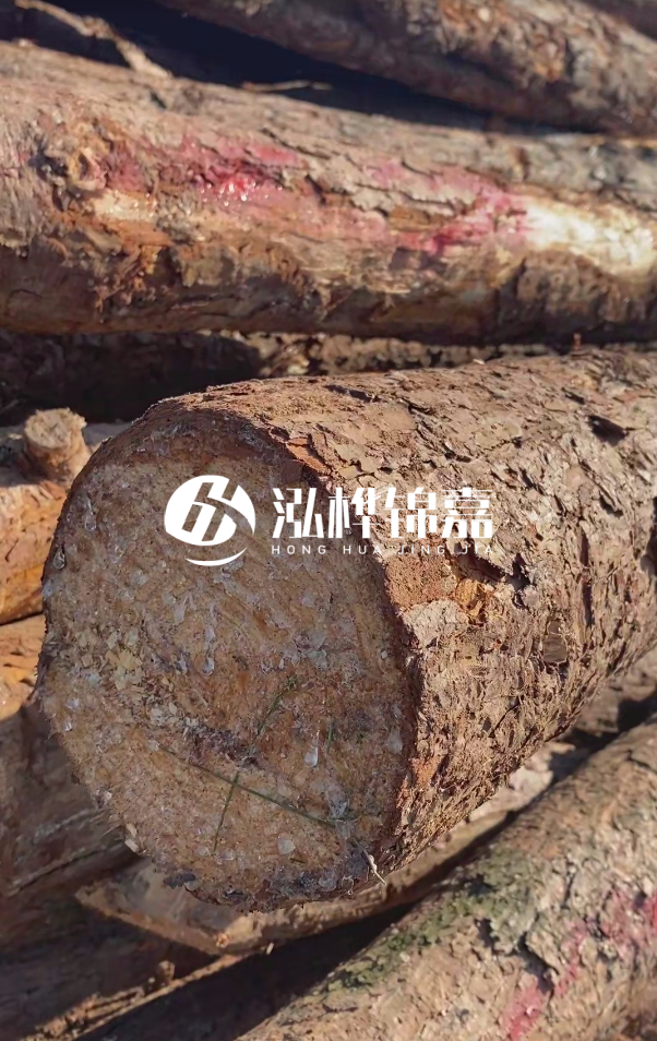 揚州打松木樁專業施工-沿海地區打松木樁的防腐處理？