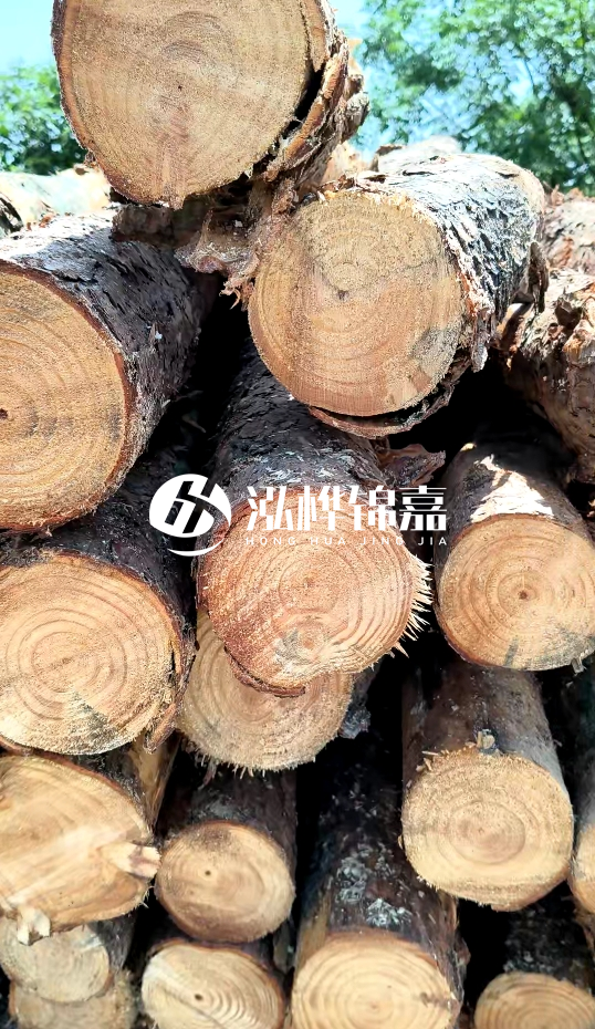 周口挖機打木樁專業施工-杉木樁施工打樁怎么打？