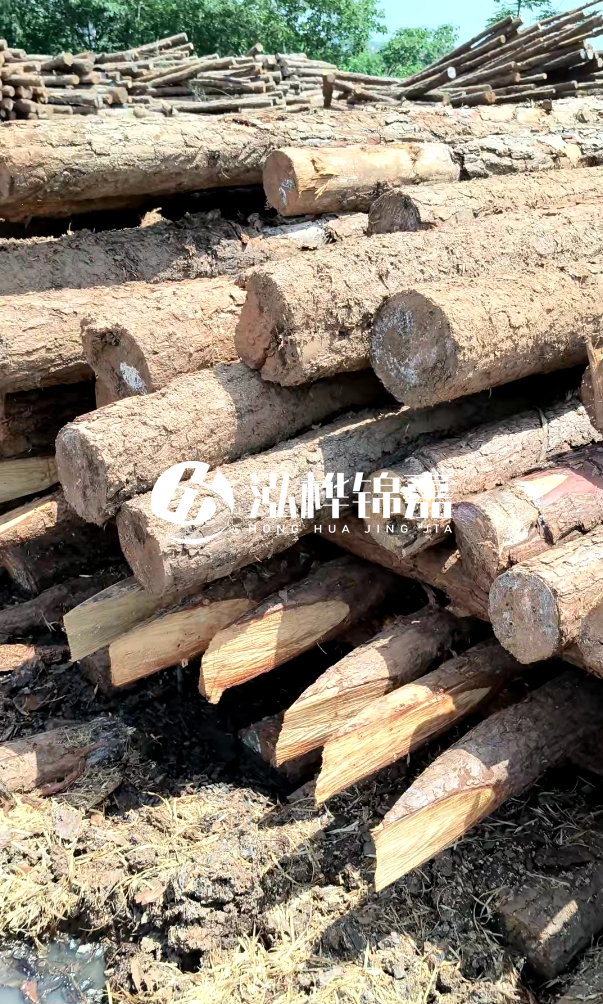 荊門挖機打木樁專業施工-河道打木樁前是否要清理河道底部雜物？