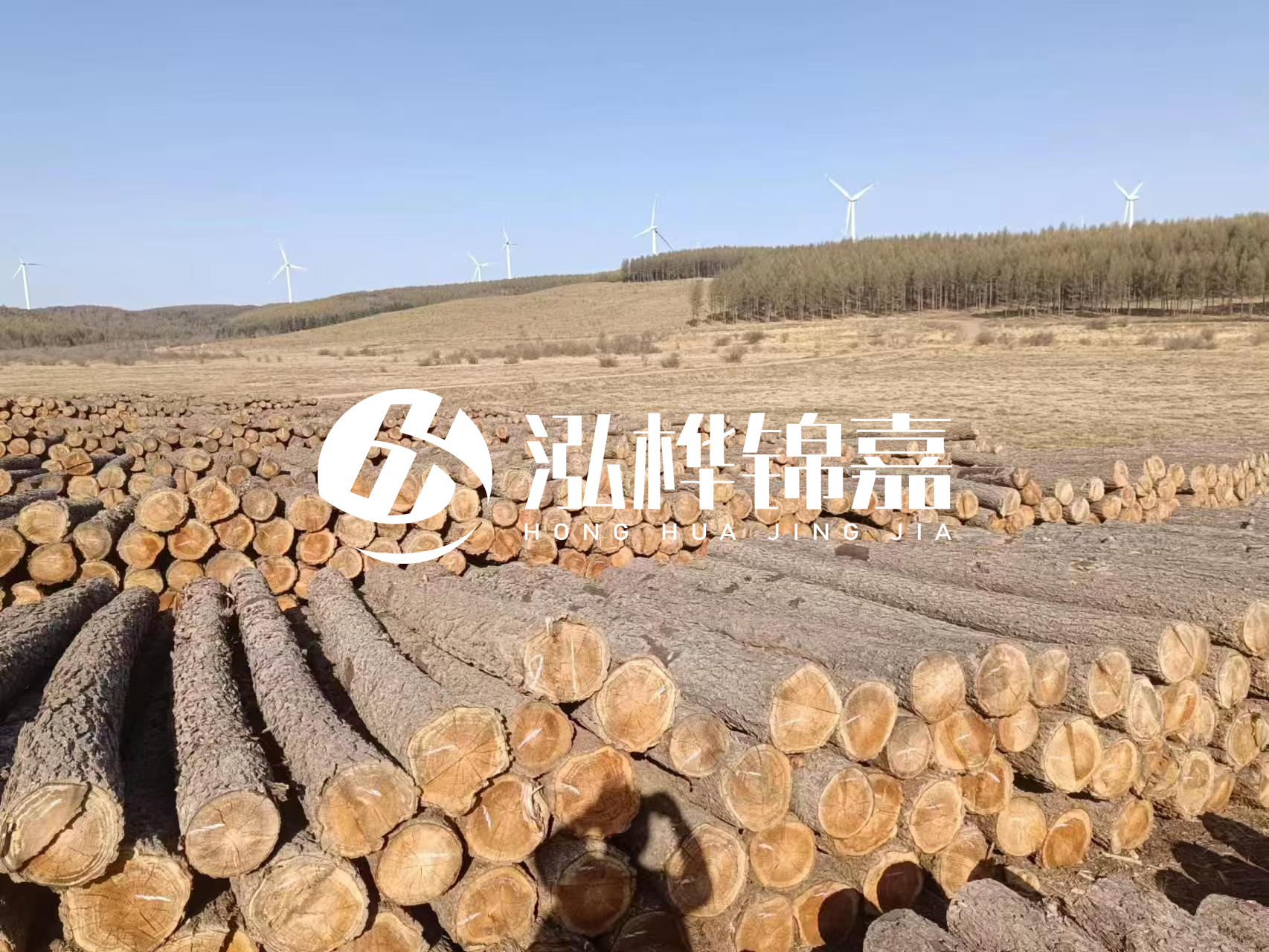 咸寧松木樁源頭廠家-哪里能買到質量好的松木樁打樁木?