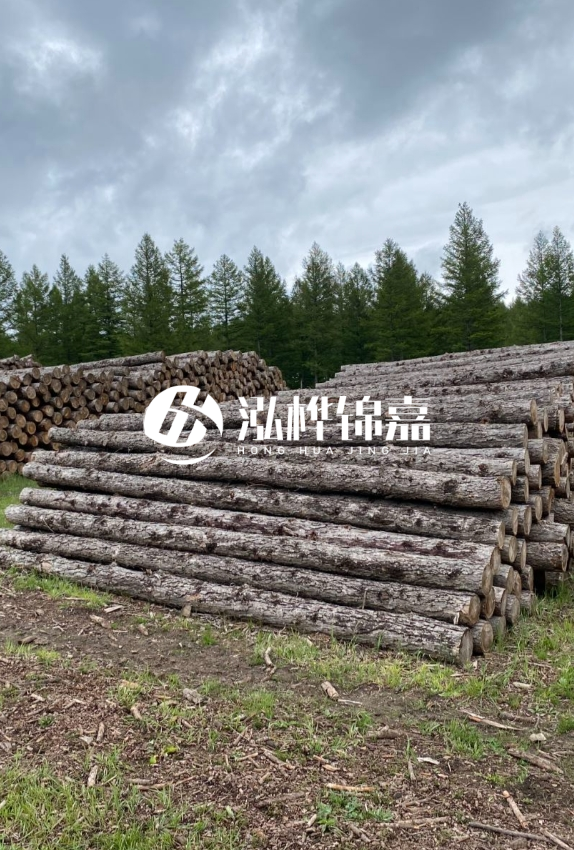 長沙松木樁源頭廠家-如何甄別松木樁打樁木的質量好壞？
