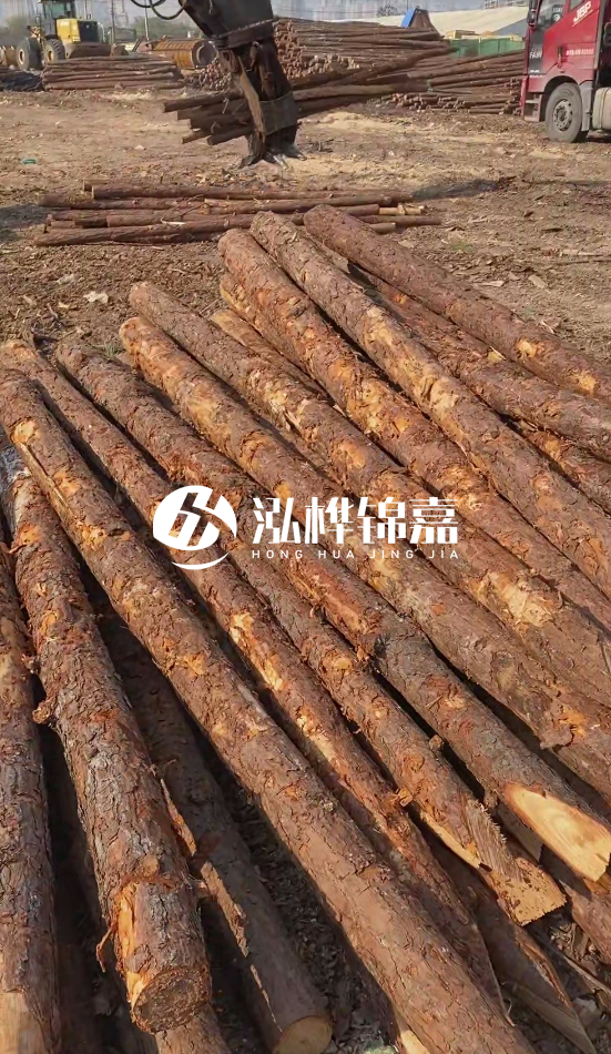 7米松木樁8一12公分價格？直徑15公分松木樁多少錢？