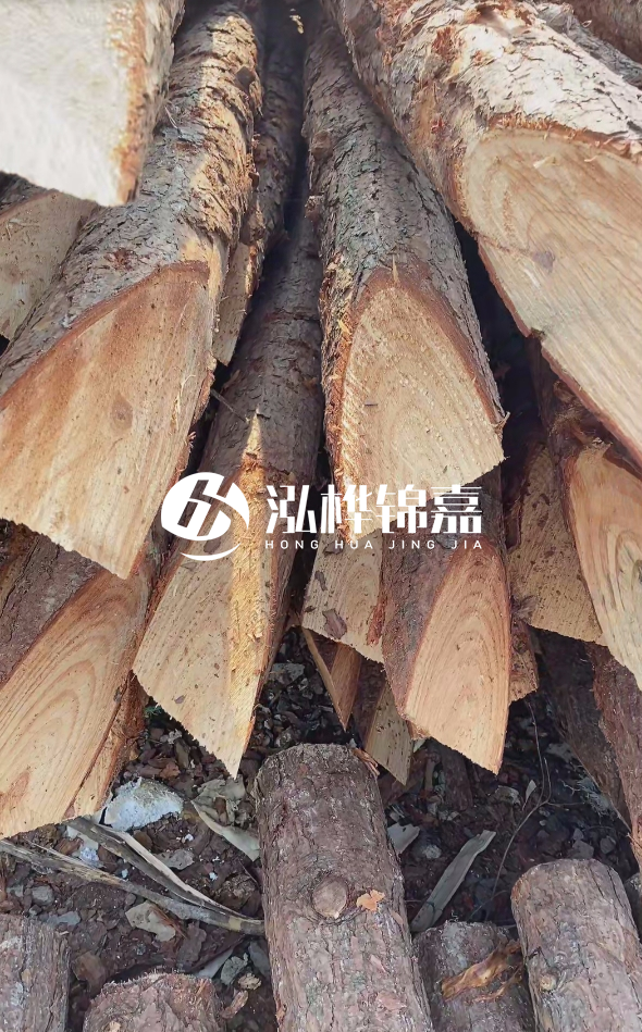 3米杉木樁梢頭12大頭多少？賣多少錢一根？