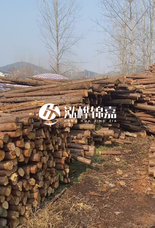 貴州打樁木材價格多少-打樁木材價格多少錢一立方？