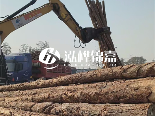 松木樁價格多少錢一根？哪里可以批發？