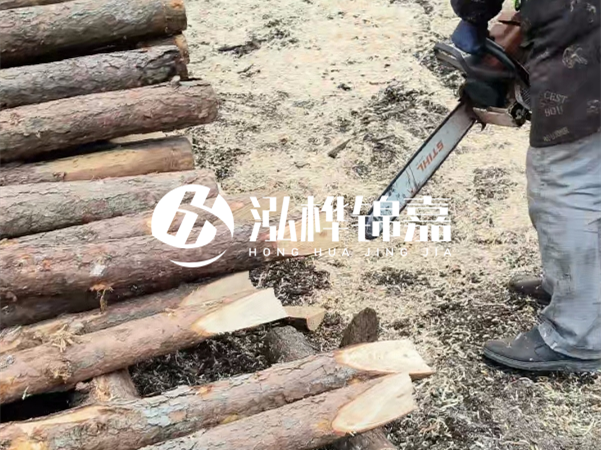 杉木樁批發廠家哪家好?產地直供渠道推薦!