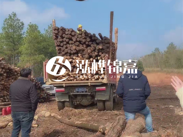 松木樁價格是按米算還是按根算？6米松木樁批發價每根多少錢？