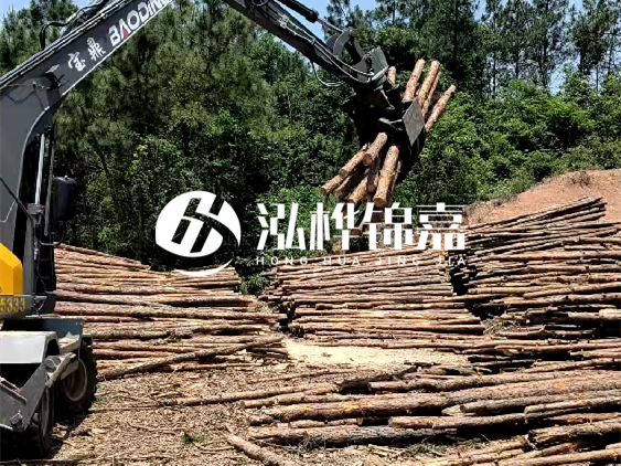 3米松木樁小頭10公分多少錢一根？大頭10公分又是多少錢？