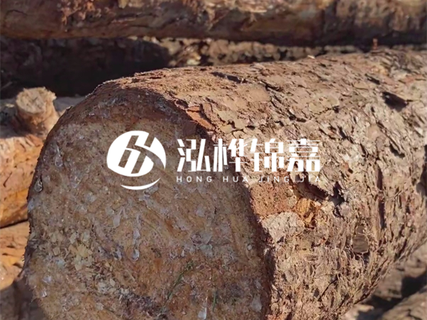 松木樁如何做到千年不腐的?松木樁打地基耐用年限揭秘