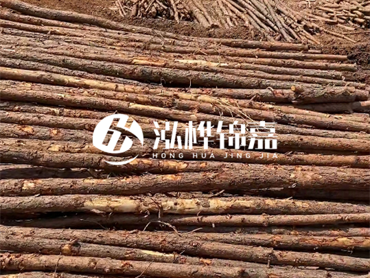 10公分的木材多少根為一方 - 4米10公分樹多少根為一方？