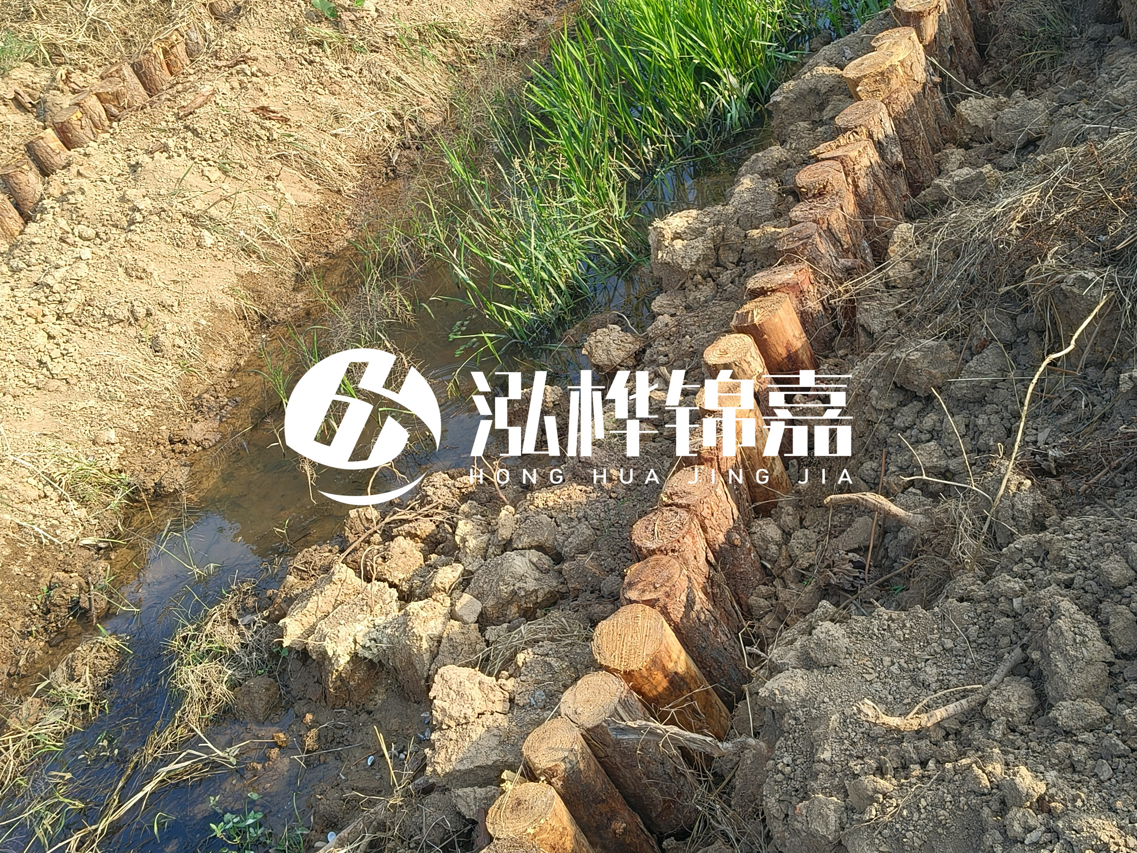 松木樁批發廠家泓樺錦嘉-樁間距指的是什么間距？