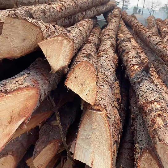 松木樁施工隊(duì)泓樺錦嘉 - 原木松木樁怎么辨別是否為實(shí)心?