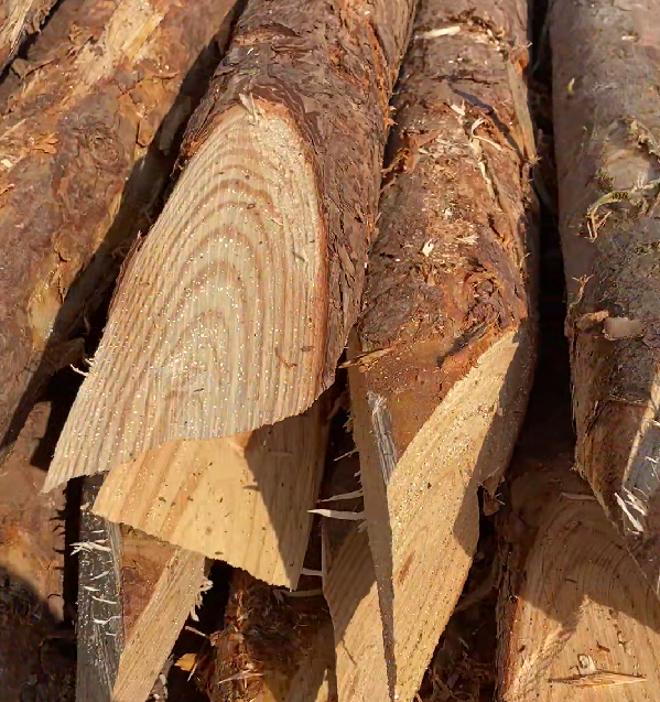 松木樁施工隊泓樺錦嘉 - 原木松木樁的最低起訂量是多少？