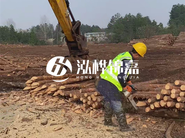 松木樁施工隊(duì)泓樺錦嘉 - 松木打樁在水里管幾年?