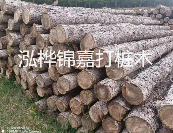 高效修補(bǔ),保駕護(hù)航!水泥路面高強(qiáng)度修補(bǔ)料為您解決煩惱!