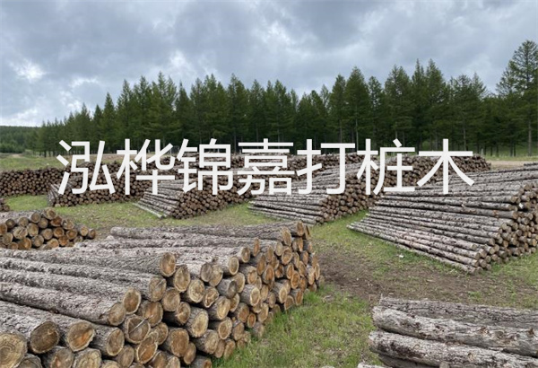 預制松木樁施工工藝:優質材料,高效快速,堅固耐用