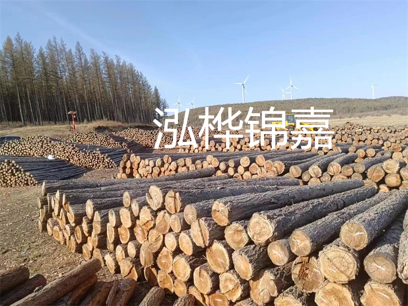 用路基松木樁施工方案提升工程質量描述:了解路基松木樁施工方案的重要性,提高工程質量關鍵詞:路基松木樁,施工方案,工程質量