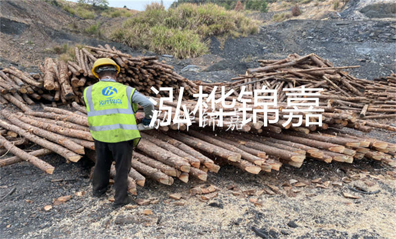 哪里松木樁最便宜？